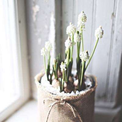 球探比分旧版大全