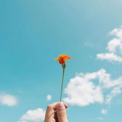 亚博app(中国)官方网站