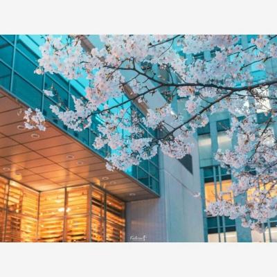 万博·ManBetX手机下载手机版