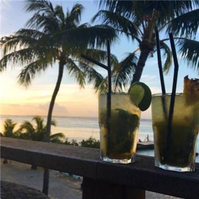 真人斗牛牛最新版app下载