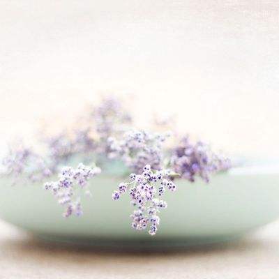 m6米乐官方网站登录入口APP下载截图